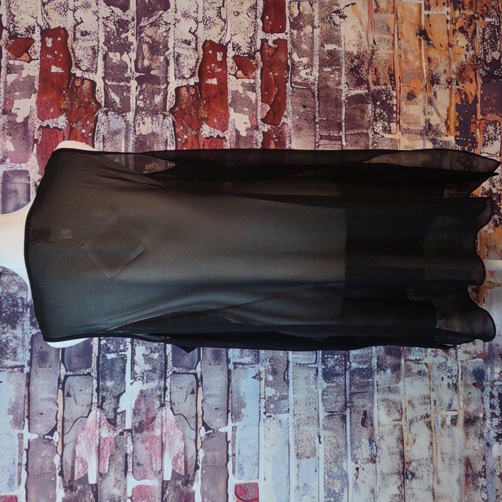 Wynne Layers By Marla Wynne Semi-sheer Tank Top - Picture 3 of 8